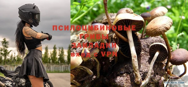 ALPHA PVP Мегион