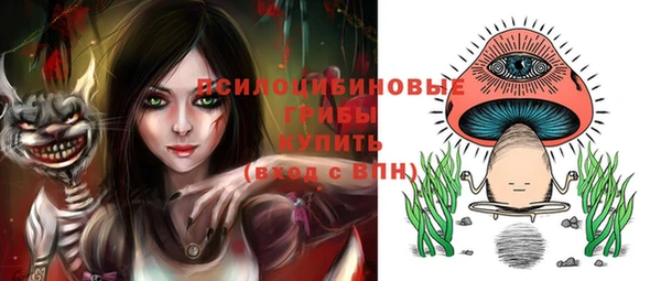 скорость Медвежьегорск