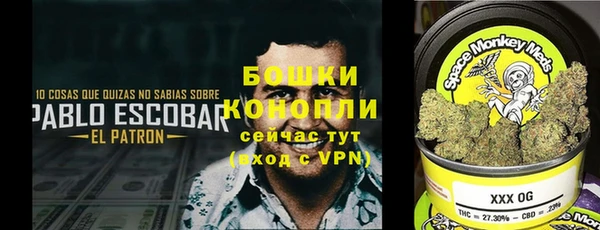скорость Медвежьегорск